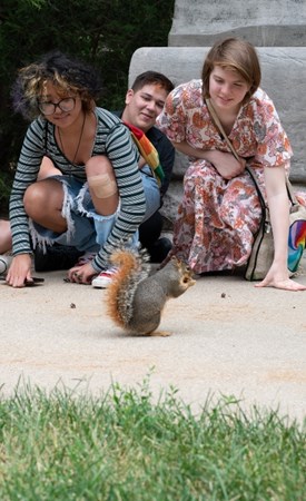 Students feeding a squirrel on MSU's campus
